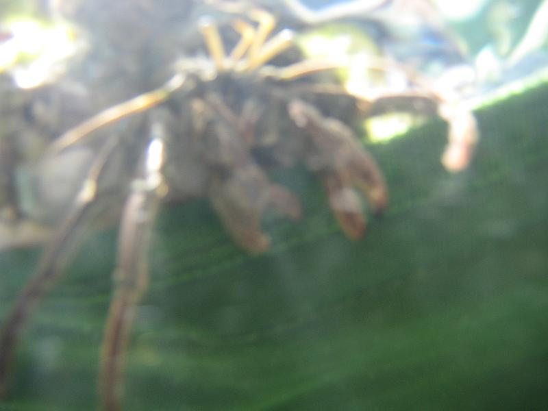 Picture 030